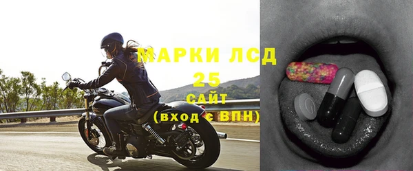 гидра Слюдянка