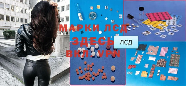 гидра Слюдянка
