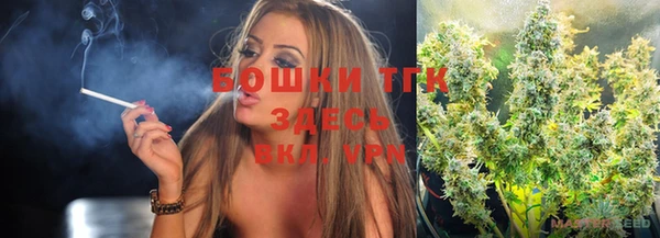 гидра Слюдянка