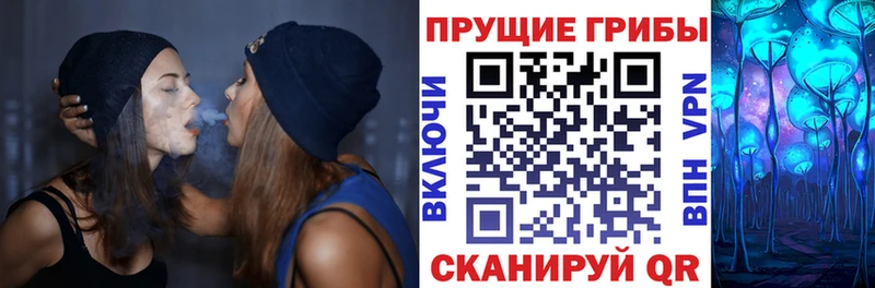 Галлюциногенные грибы Cubensis  ОМГ ОМГ ТОР  Чкаловск 